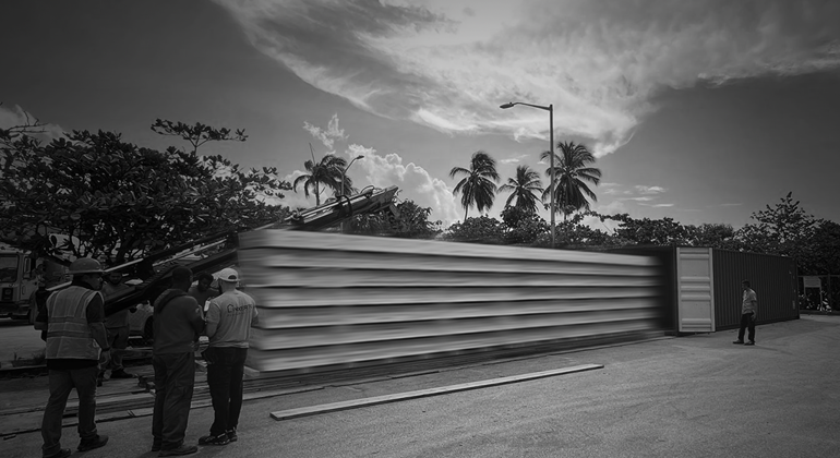 Woho Case Study Thumbnail