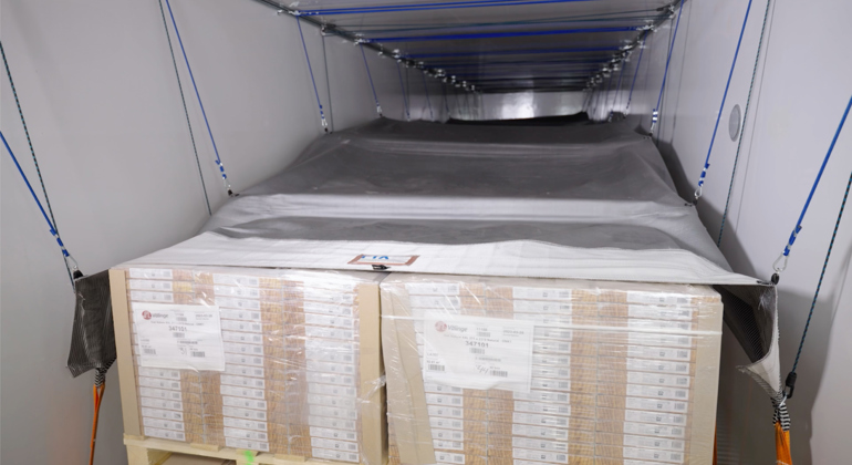 Bjelin Video Images 15 (1)