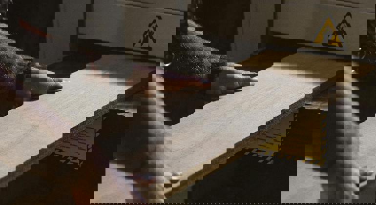 Wood Sheet Production