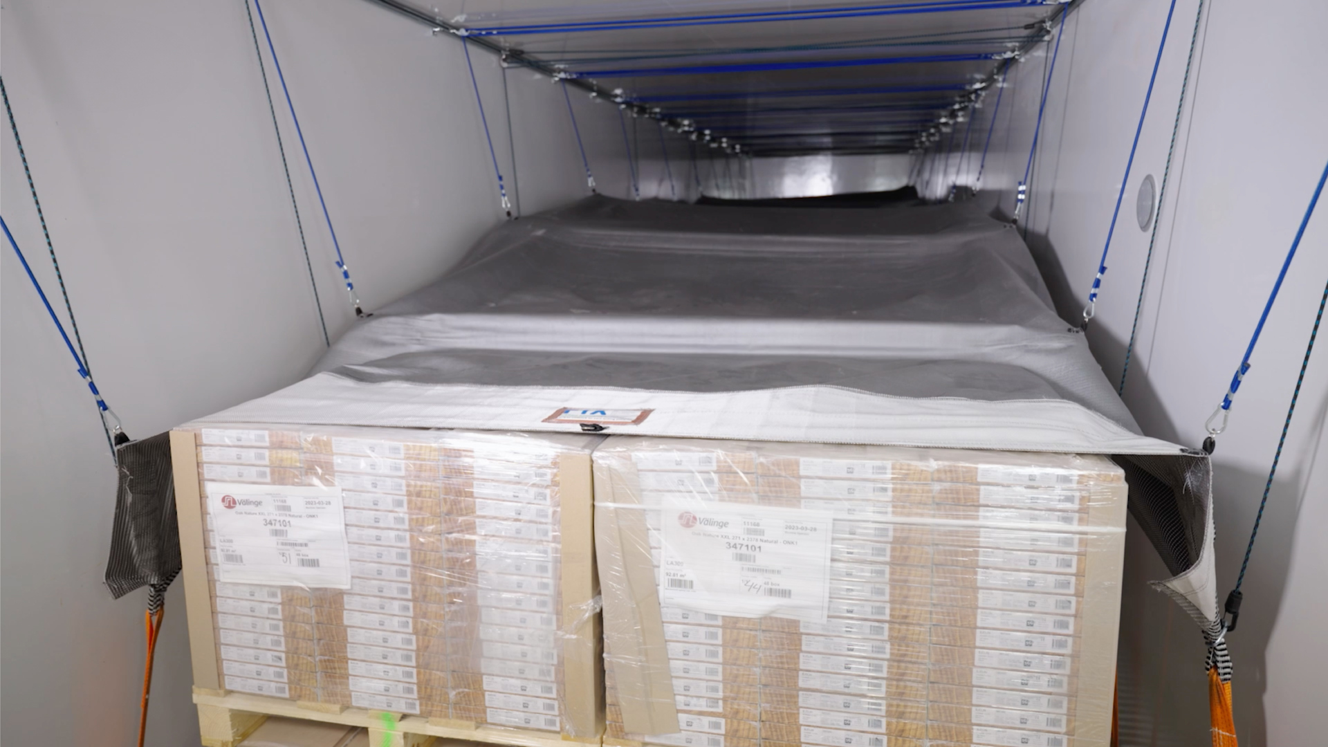 Bjelin Video Images 15