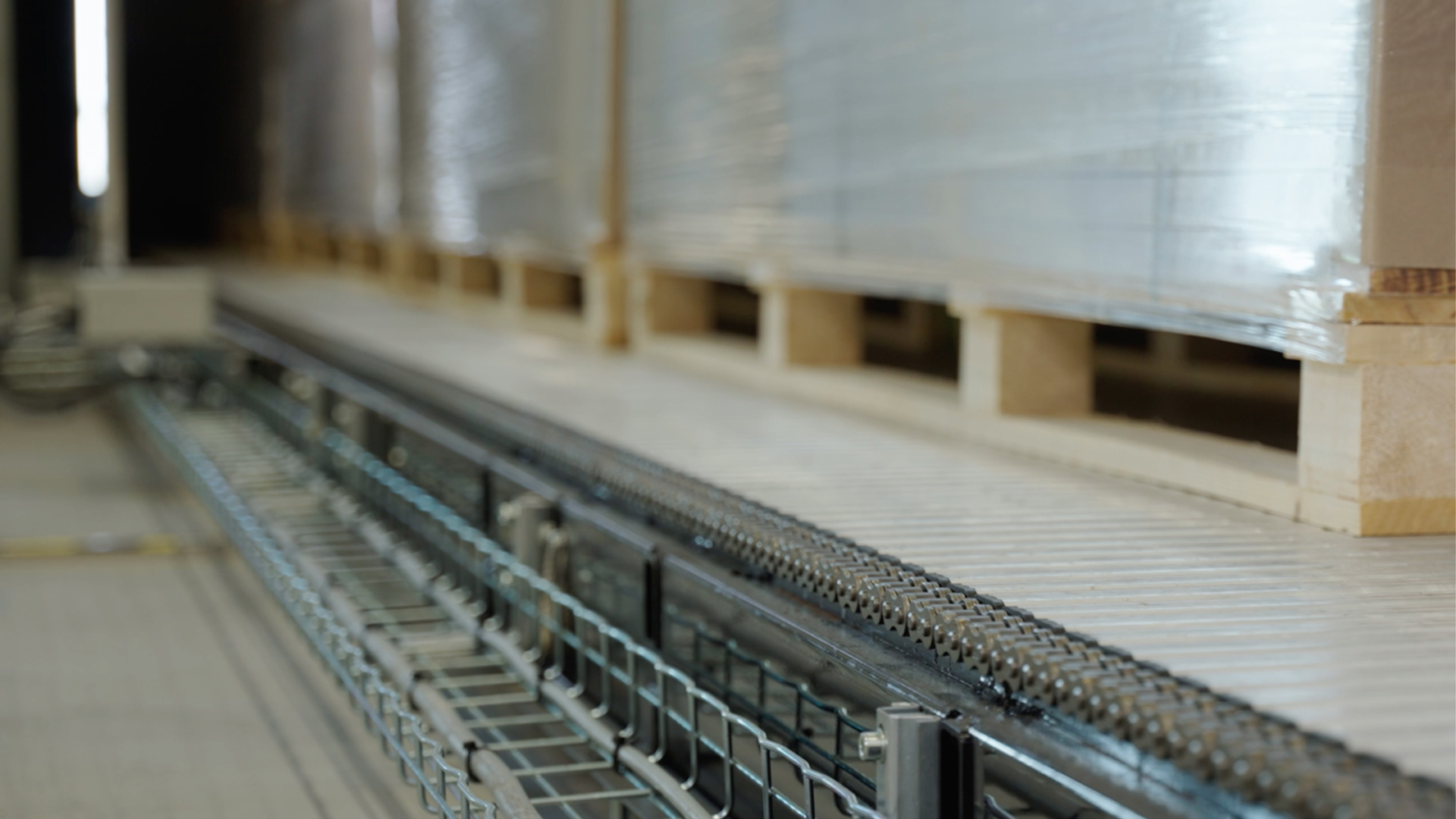 Bjelin Video Images 07