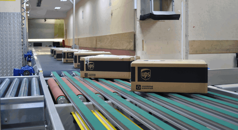 Narrow Belt Sorter (11)